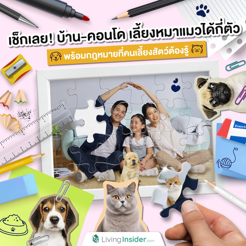 เช็กเลย! บ้าน-คอนโด เลี้ยงหมาแมวได้กี่ตัว พร้อมกฎหมายที่คนเลี้ยงสัตว์ต้องรู้ เช็กเลย! บ้าน-คอนโด เลี้ยงหมาแมวได้กี่ตัว พร้อมกฎหมายที่คนเลี้ยงสัตว์ต้องรู้