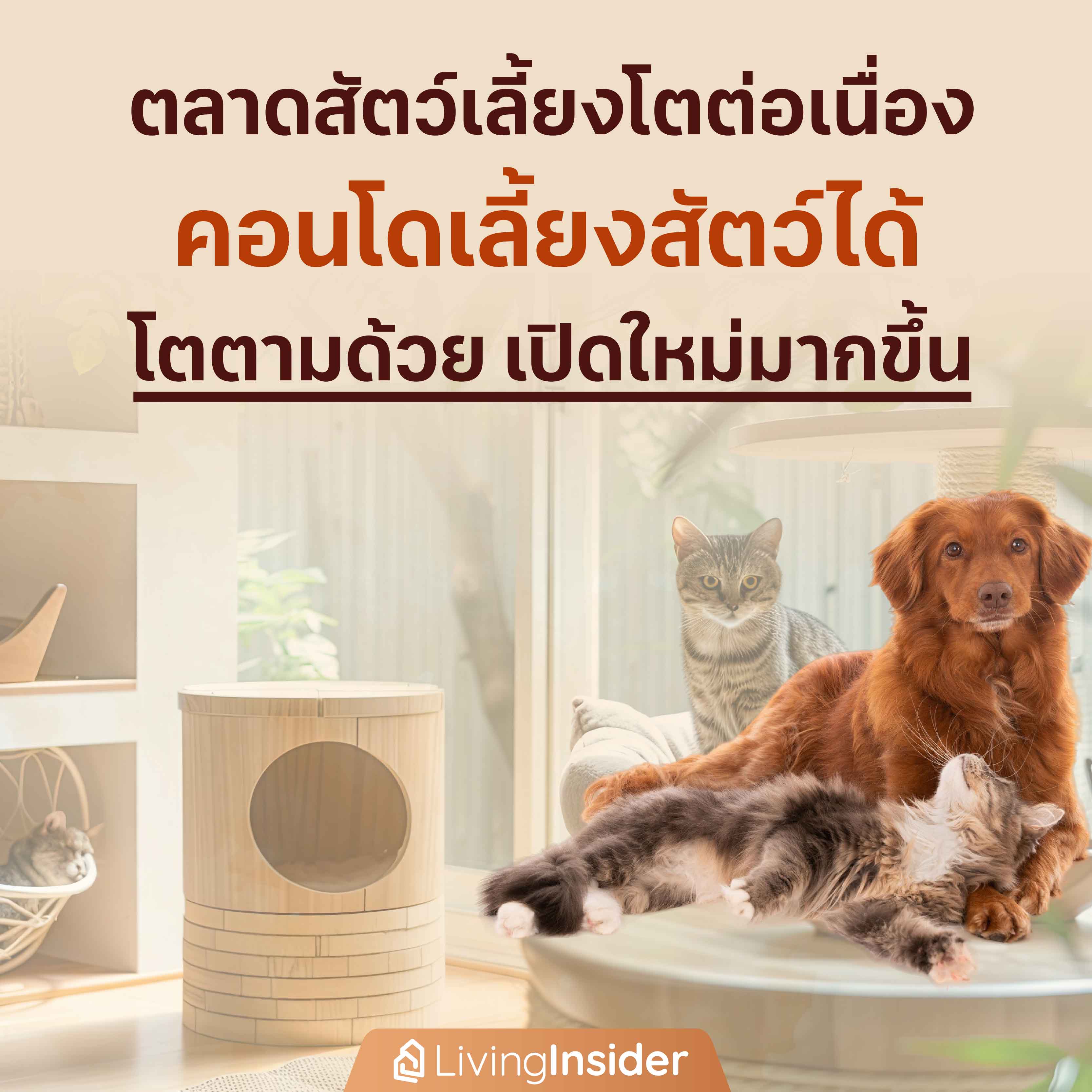 ตลาดสัตว์เลี้ยงโตต่อเนื่อง "คอนโดเลี้ยงสัตว์ได้" โตตามด้วยเปิดใหม่มากขึ้น ตลาดสัตว์เลี้ยงโตต่อเนื่อง "คอนโดเลี้ยงสัตว์ได้" โตตามด้วยเปิดใหม่มากขึ้น