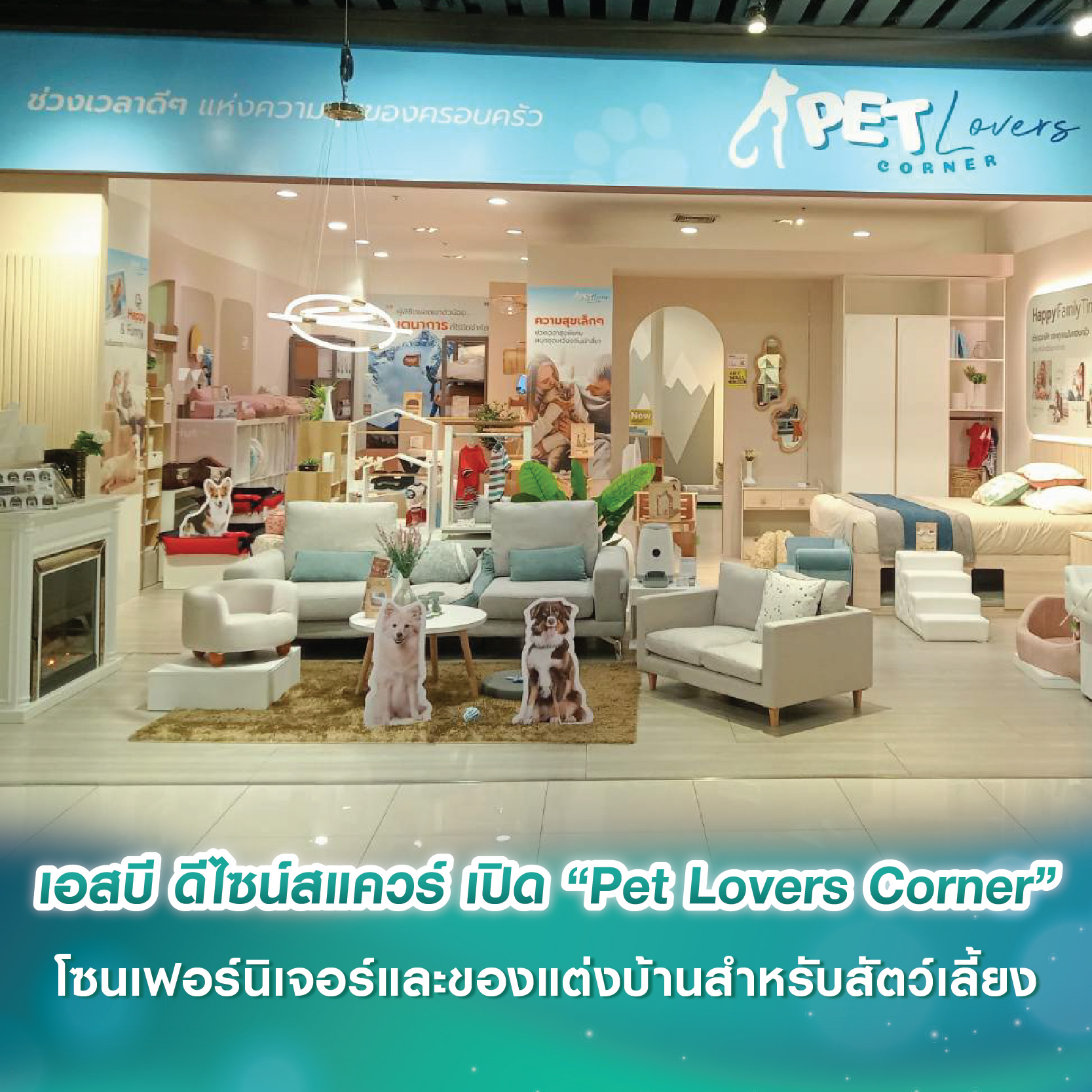 เอสบี ดีไซน์สแควร์ เปิด “Pet Lovers Corner” โซนเฟอร์นิเจอร์และของตกแต่งบ้านสำหรับสัตว์เลี้ยง