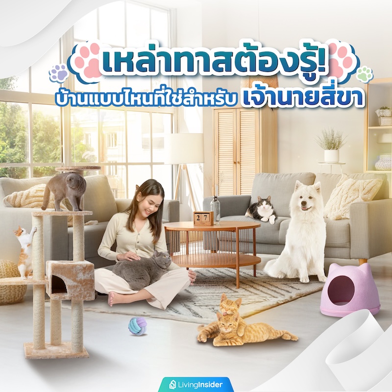 เหล่าทาสต้องรู้! บ้านแบบไหนที่ใช่สำหรับเจ้านายสี่ขา เหล่าทาสต้องรู้! บ้านแบบไหนที่ใช่สำหรับเจ้านายสี่ขา