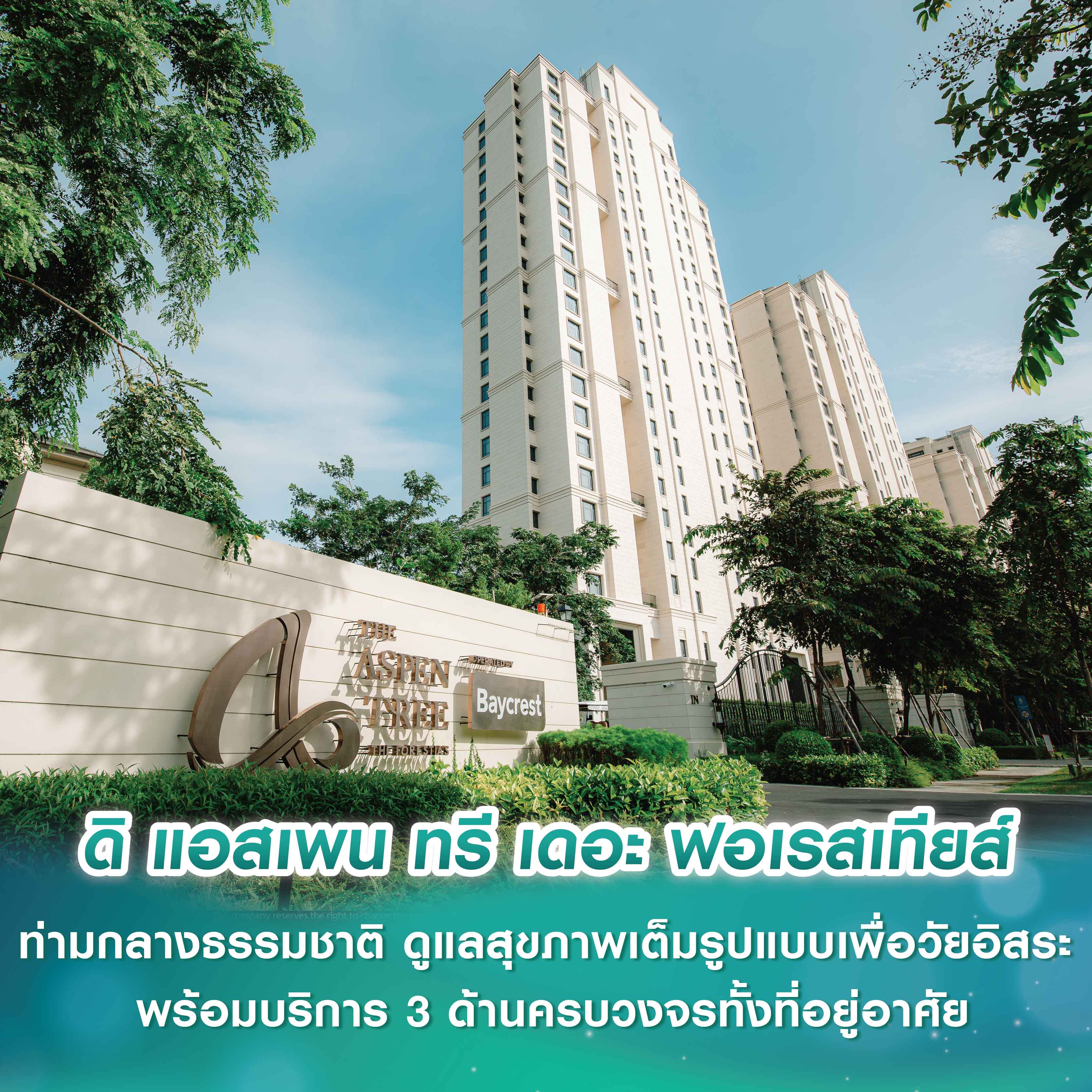 ดิ แอสเพน ทรี เดอะ ฟอเรสเทียส์ เปิดคอมมูนิตี้ที่พักอาศัยท่ามกลางธรรมชาติ ดูแลสุขภาพเต็มรูปแบบเพื่อวัยอิสระ พร้อมบริการ 3 ด้านครบวงจรทั้งที่อยู่อาศัย เวลเนส คลับเฮ้าส์ และ ศูนย์ดูแลสุขภาพและสมอง ดิ แอสเพน ทรี เดอะ ฟอเรสเทียส์ เปิดคอมมูนิตี้ที่พักอาศัยท่ามกลางธรรมชาติ ดูแลสุขภาพเต็มรูปแบบเพื่อวัยอิสระ พร้อมบริการ 3 ด้านครบวงจรทั้งที่อยู่อาศัย เวลเนส คลับเฮ้าส์ และ ศูนย์ดูแลสุขภาพและสมอง