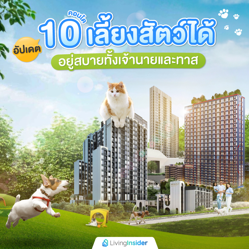อัปเดต 10 คอนโดเลี้ยงสัตว์ได้ อยู่สบายทั้งเจ้านายและทาส อัปเดต 10 คอนโดเลี้ยงสัตว์ได้ อยู่สบายทั้งเจ้านายและทาส
