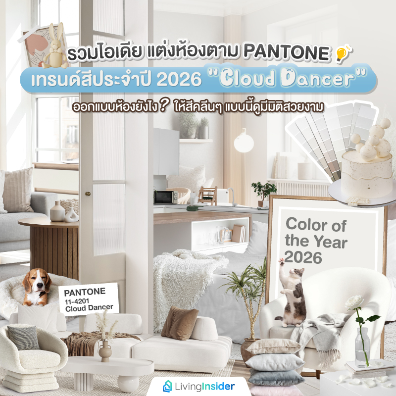 รวมไอเดีย แต่งห้องตาม PANTONE เทรนด์สีประจำปี 2026 “Cloud Dancer” ออกแบบห้องยังไง? ให้สีคลีนๆ แบบนี้ดูมีมิติสวยงาม รวมไอเดีย แต่งห้องตาม PANTONE เทรนด์สีประจำปี 2026 “Cloud Dancer” ออกแบบห้องยังไง? ให้สีคลีนๆ แบบนี้ดูมีมิติสวยงาม