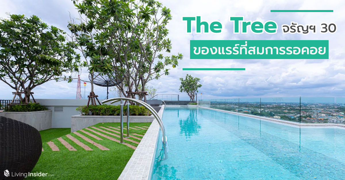 The Tree จรัญฯ 30 ทับทิมสยามแห่งจรัญสนิทวงศ์ ของ Rare ที่สมกับการรอคอย