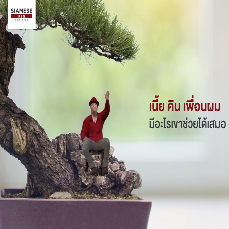 ไซมิส แอสเสท ทุ่ม 1,000 ล้านบาท เปิดแบรนด์ ไซมิส คิน – SIAMESE KIN ไซมิส แอสเสท ทุ่ม 1,000 ล้านบาท เปิดแบรนด์ ไซมิส คิน – SIAMESE KIN
