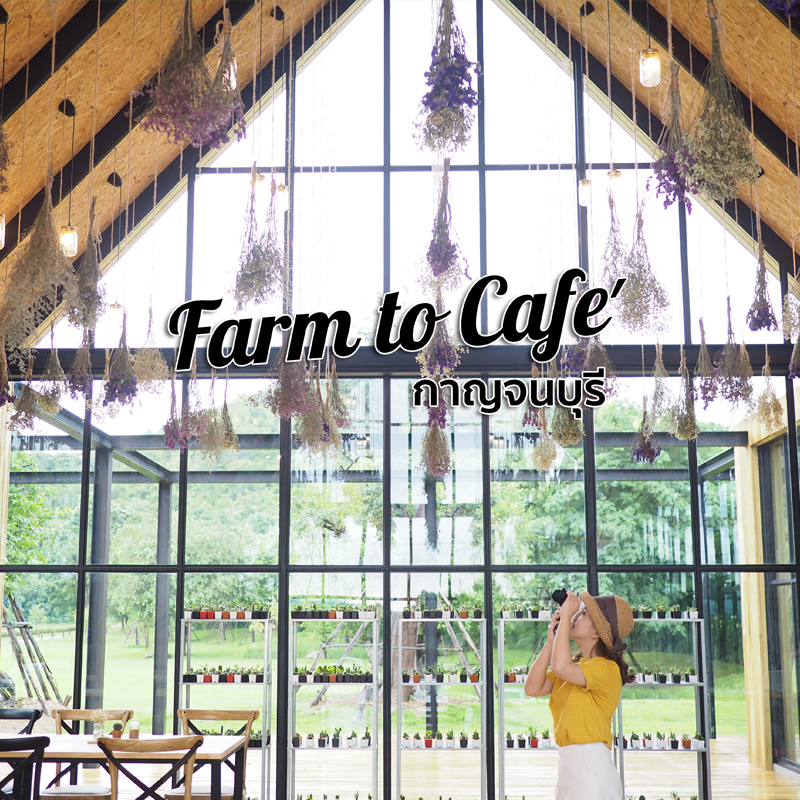 The Village Farm to Café คาเฟ่ท่ามกลางขุนเขาที่กาญจนบุรี The Village Farm to Café คาเฟ่ท่ามกลางขุนเขาที่กาญจนบุรี