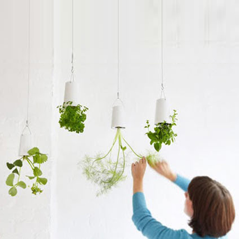 ปลูกต้นไม้แนวใหม่กับ Sky Plant ปลูกง่ายๆที่คอนโดของคุณ ปลูกต้นไม้แนวใหม่กับ Sky Plant ปลูกง่ายๆที่คอนโดของคุณ