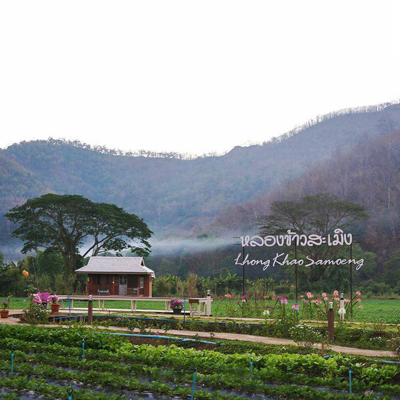 หลองข้าวสะเมิง ที่พักที่โอบล้อมด้วยทุ่งนาภูเขาเขียว หลองข้าวสะเมิง ที่พักที่โอบล้อมด้วยทุ่งนาภูเขาเขียว