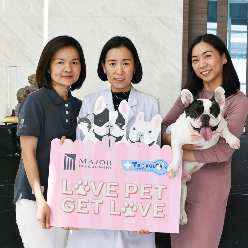 MJD จับมือรพ.สัตว์ทองหล่อ ส่ง LOVE PET GET LOVE MJD จับมือรพ.สัตว์ทองหล่อ ส่ง LOVE PET GET LOVE
