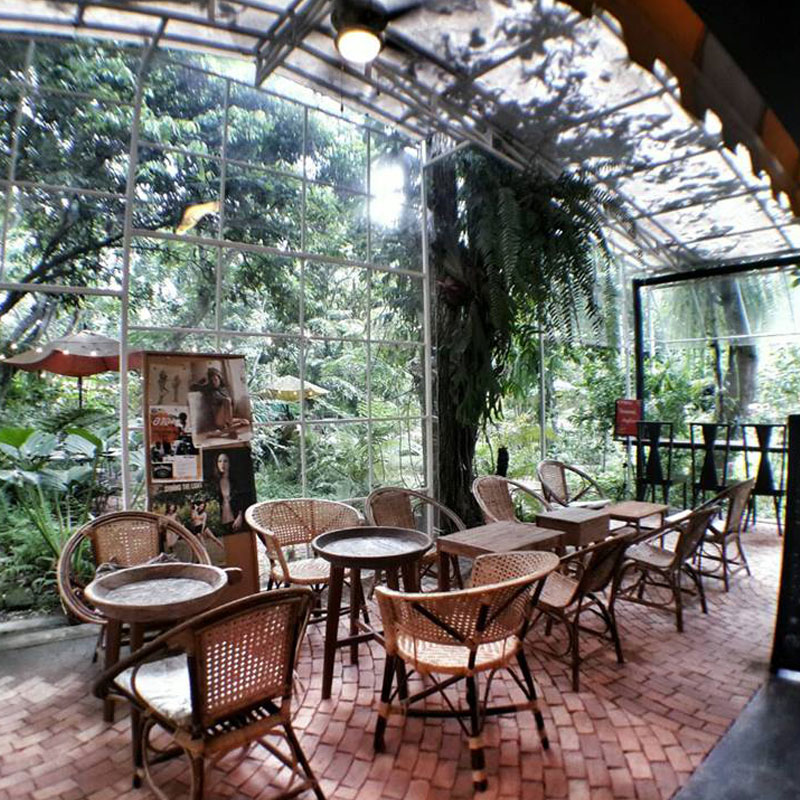 ร้านกาแฟเชียงใหม่: หลงป่า ร้านกาแฟเชียงใหม่: หลงป่า