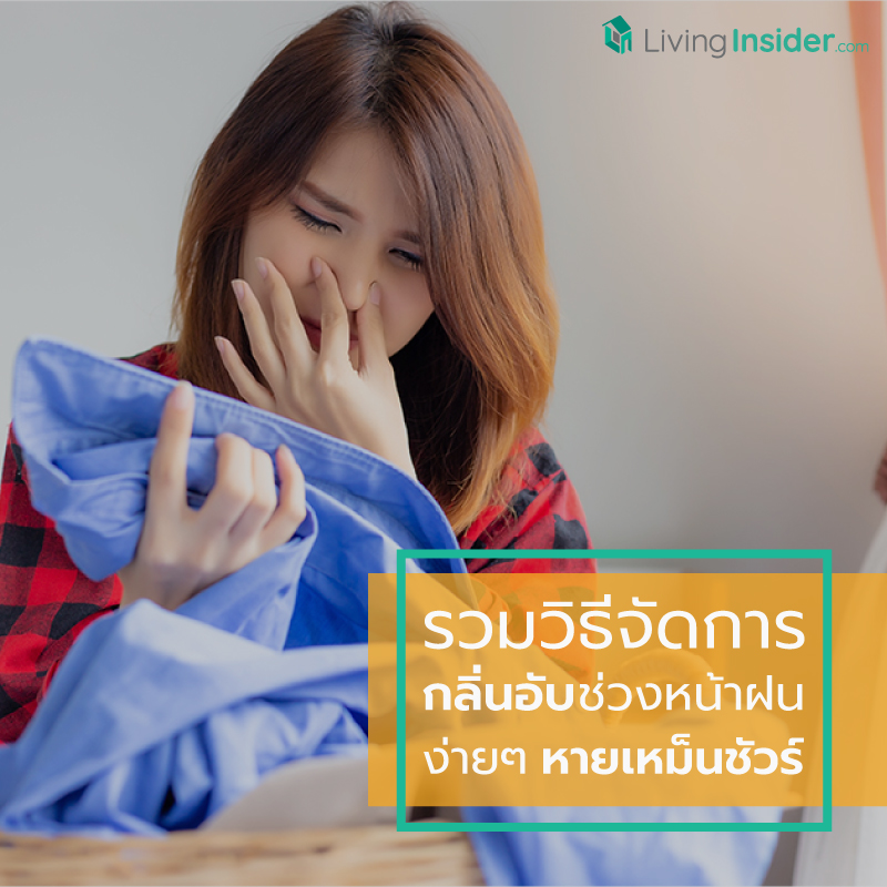 รวมวิธีจัดการกลิ่นอับในบ้านช่วงหน้าฝน ง่ายๆ หายเหม็นชัวร์ รวมวิธีจัดการกลิ่นอับในบ้านช่วงหน้าฝน ง่ายๆ หายเหม็นชัวร์