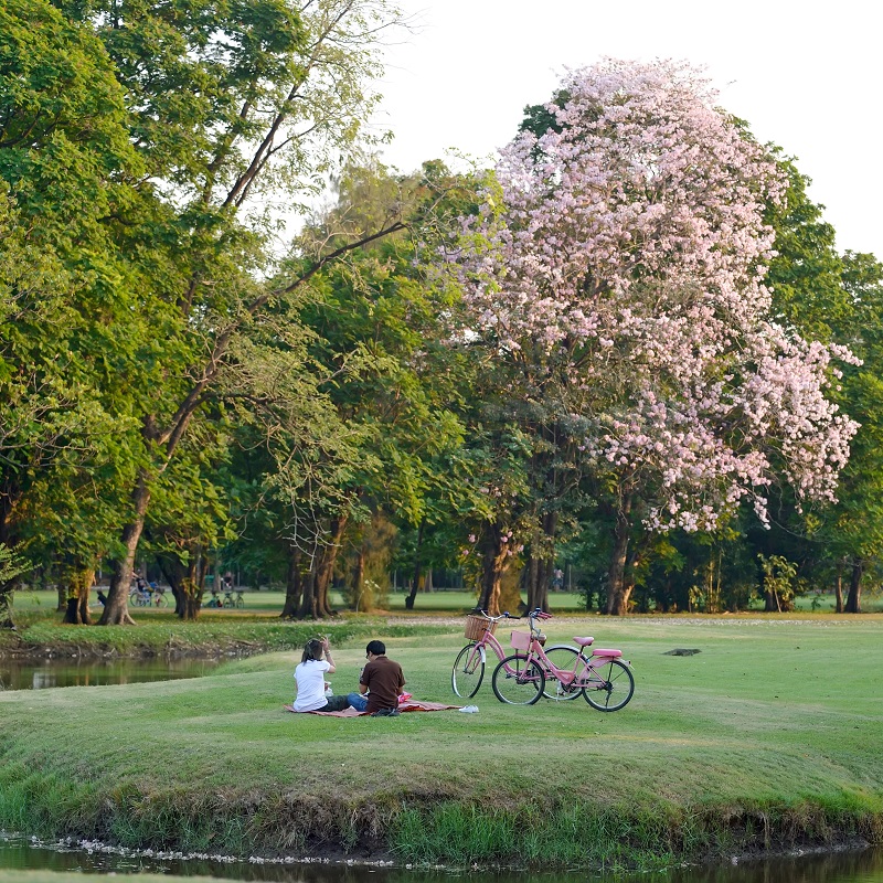 ทำไม M จตุจักร ถึงเป็นคอนโดพร้อมอยู่ ที่น่าสนใจที่สุด ในย่านพหลโยธิน-จตุจักร ณ เวลานี้ ทำไม M จตุจักร ถึงเป็นคอนโดพร้อมอยู่ ที่น่าสนใจที่สุด ในย่านพหลโยธิน-จตุจักร ณ เวลานี้