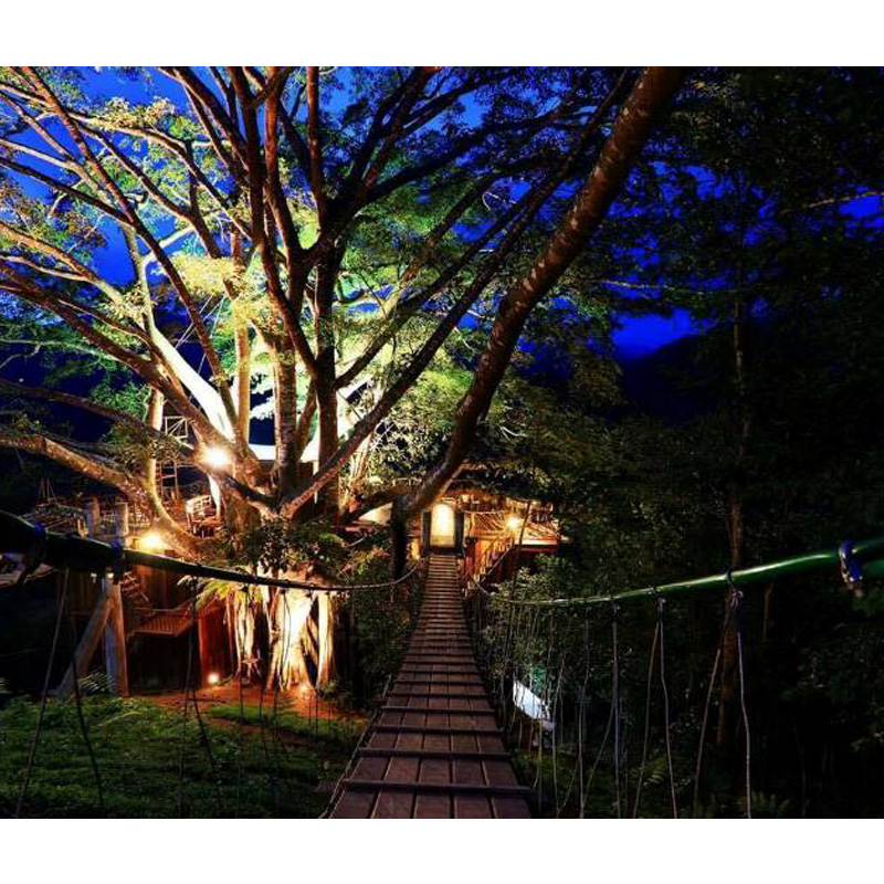 The Giant Chiangmai ร้านกาแฟบนต้นไม้ใหญ่ ท่ามกลางขุนเขา The Giant Chiangmai ร้านกาแฟบนต้นไม้ใหญ่ ท่ามกลางขุนเขา