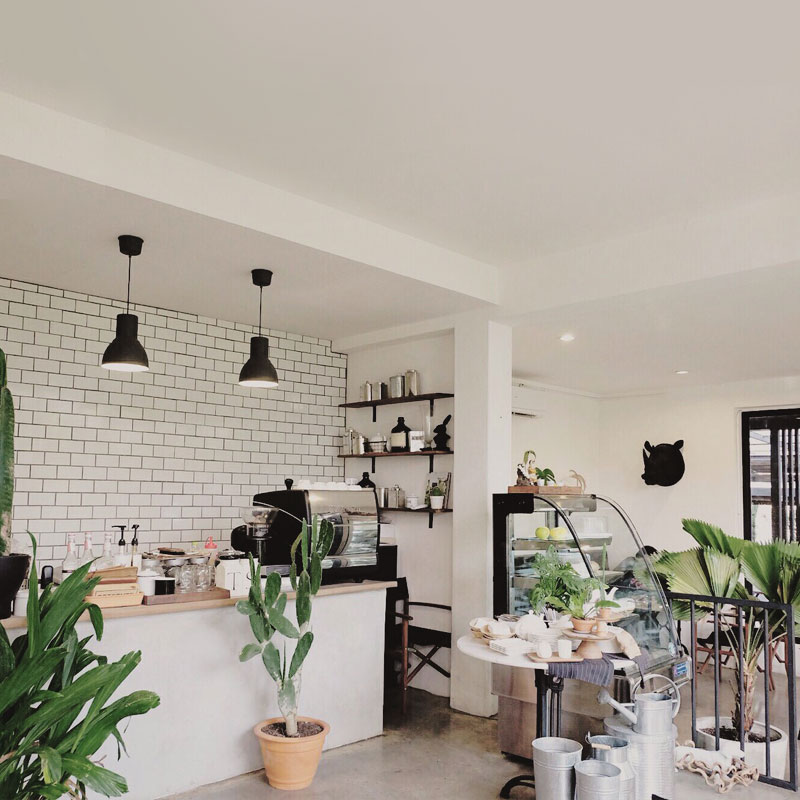 A Little While ร้านอาหารในสวนสวยบนถนนประเสริฐมนูกิจ A Little While ร้านอาหารในสวนสวยบนถนนประเสริฐมนูกิจ