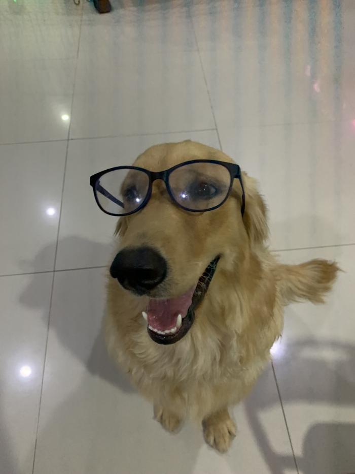 agent-3277589