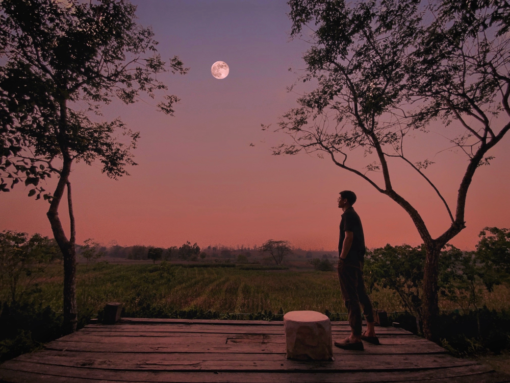 agent-2907687