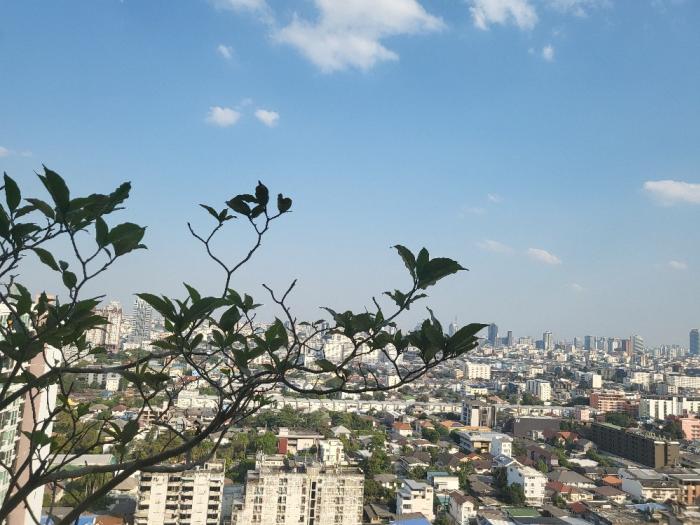 Mon_Plathong