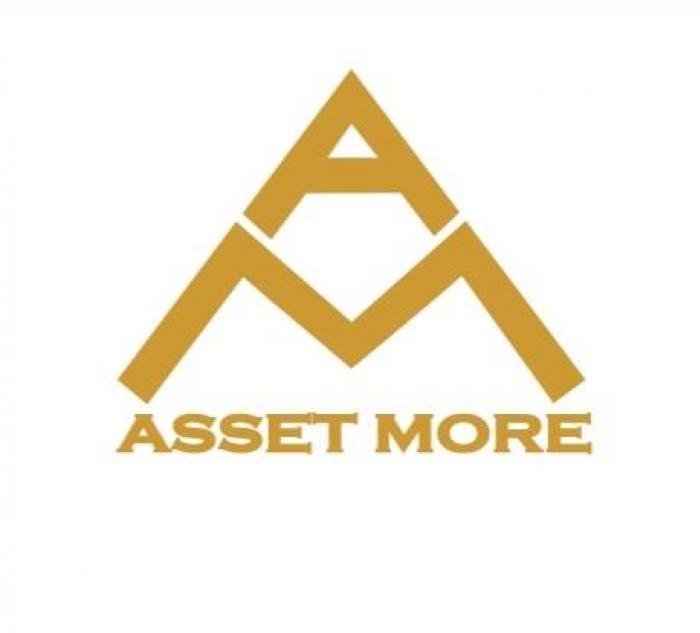 Asset More