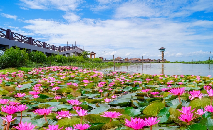 Phatthalung Phatthalung