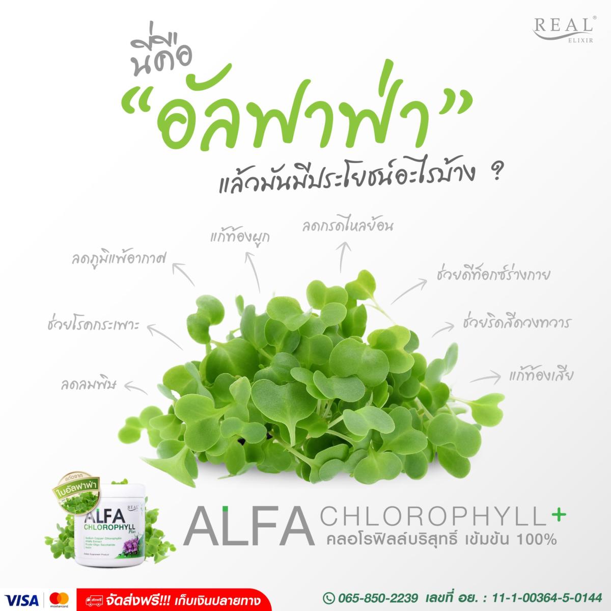 อัลฟ่า คลอโรฟิลล์