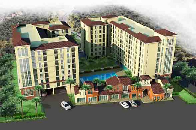 กูฟวี้ ศรีราชา กูฟวี้ ศรีราชา