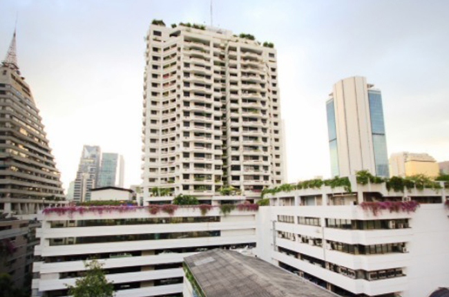 Trinity Complex Trinity Complex