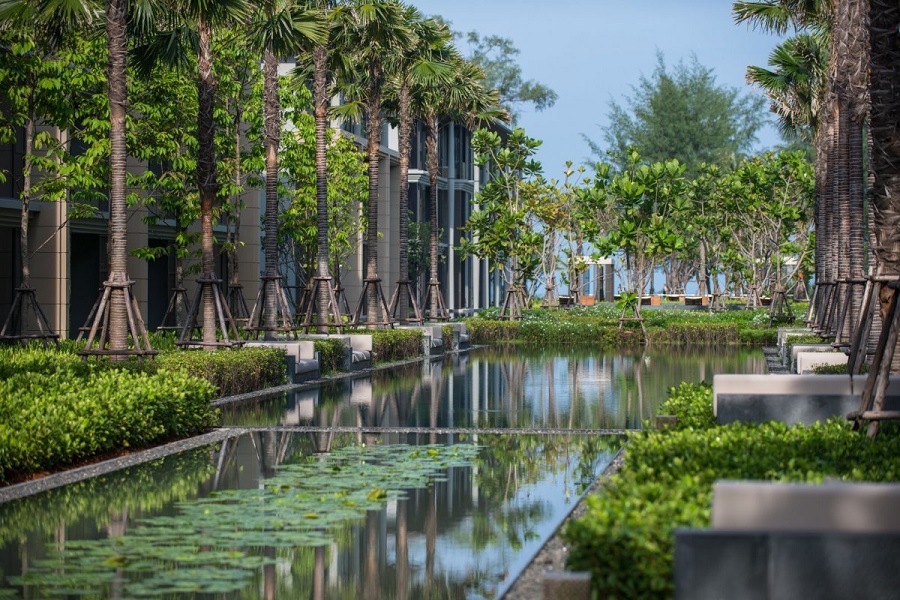 image-preview