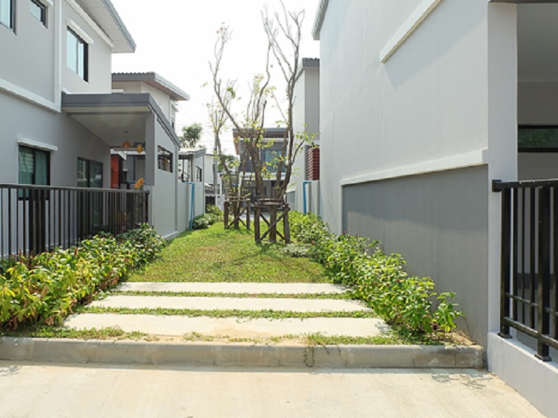 image-preview