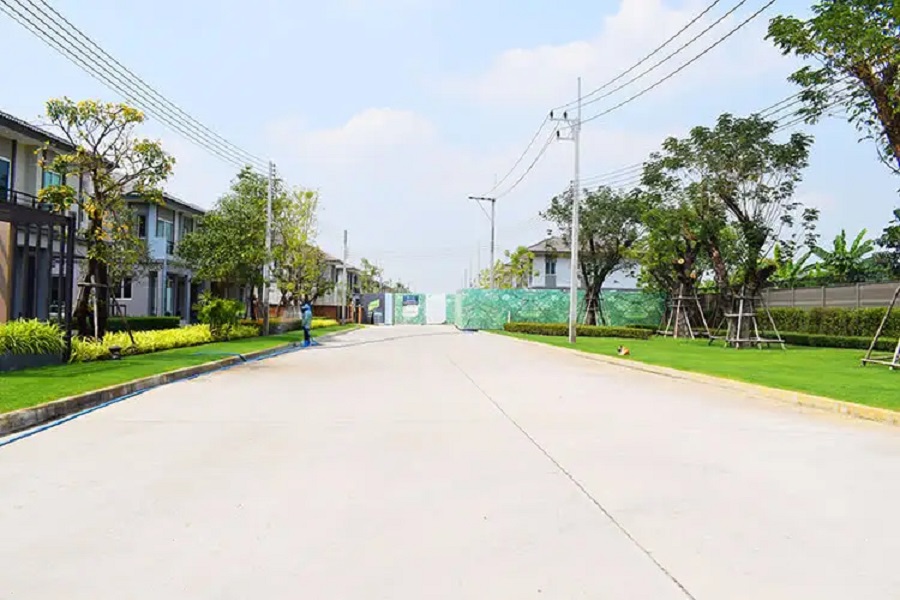 image-preview