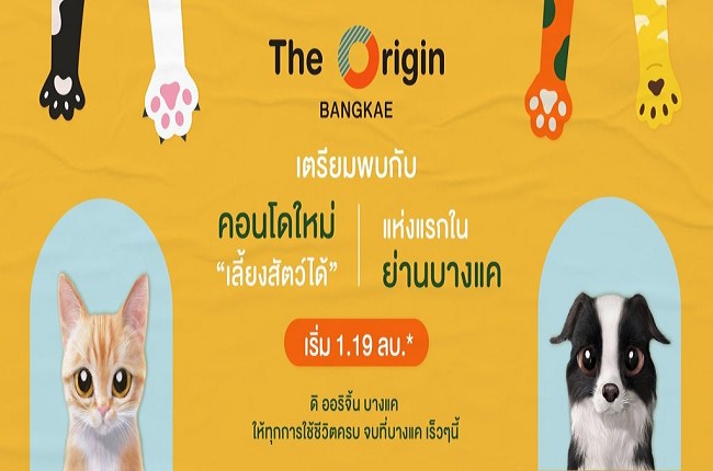 The Origin Bangkae The Origin Bangkae