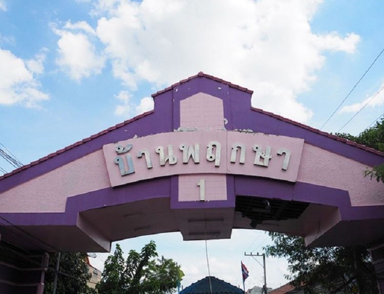 พฤกษา 1 คลอง 8 ธัญบุรี