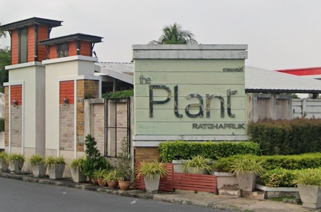 The Plant Rachapruk The Plant Rachapruk