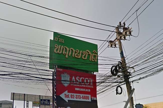 พฤกษชาติ รามคำแหง 118 พฤกษชาติ รามคำแหง 118