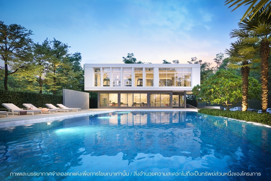image-preview
