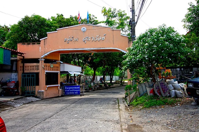 สุภาวัลย์ เทพารักษ์ สุภาวัลย์ เทพารักษ์