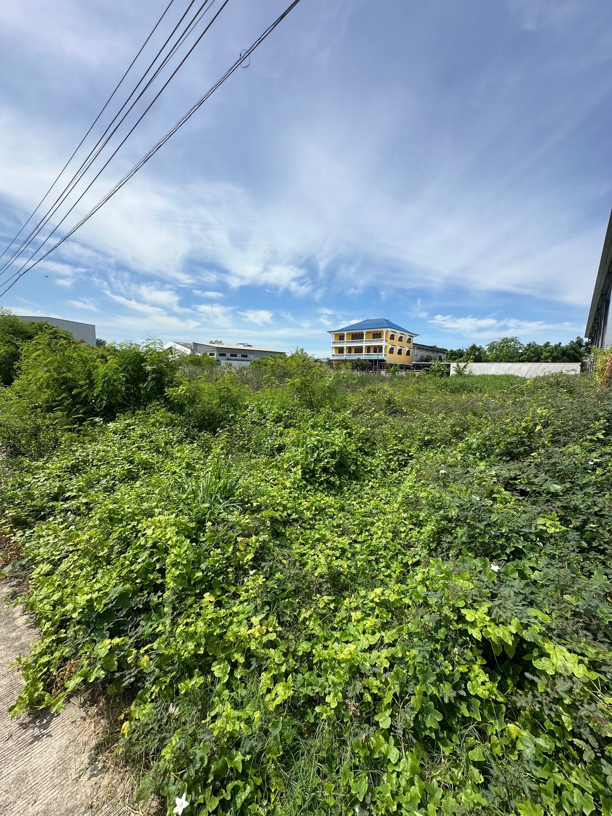 *** Land for sale, 900 square meters, filled, Soi Thai Prakan, Bang Phli, Samut Prakan, very cheap sale, suitable for factories, warehouses, apartments. – รูปที่ 2