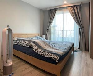 for rent Maestro 19 1 bed special deal !! 💚 pet friendly