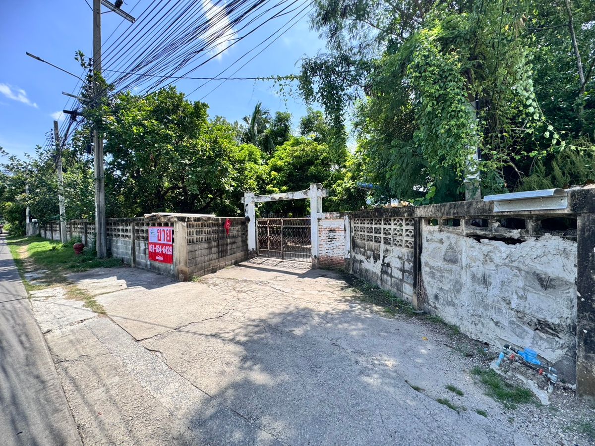Land for sale at Wat Phai Ngein Chotanaram, good price, beautiful land, area 1 rai 3 ngan 78.6 square wa. Land for sale at Wat Phai Ngein Chotanaram, good price, beautiful land, area 1 rai 3 ngan 78.6 square wa.