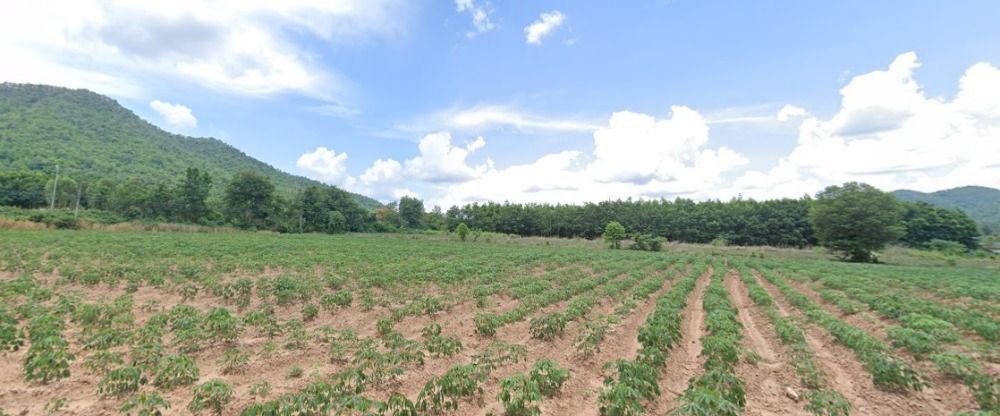 Land for sale 5-3-46 rai, Ban Rai District, Uthai Thani Province. Land for sale 5-3-46 rai, Ban Rai District, Uthai Thani Province.