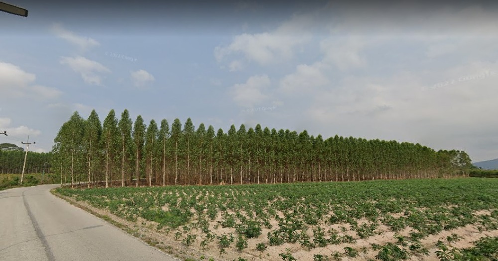 ขายที่ดิน บ้านฉาง ระยอง ขนาด 10-2-0 ไร่ เหมาะสำหรับทำหมู่บ้าน