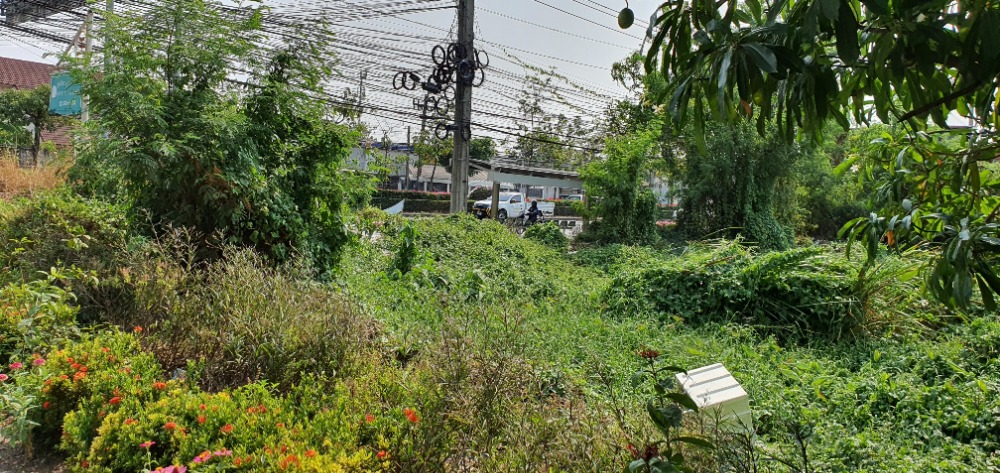 Land for sale on On Nut Road and next to Soi On Nut 67/3. – รูปที่ 2