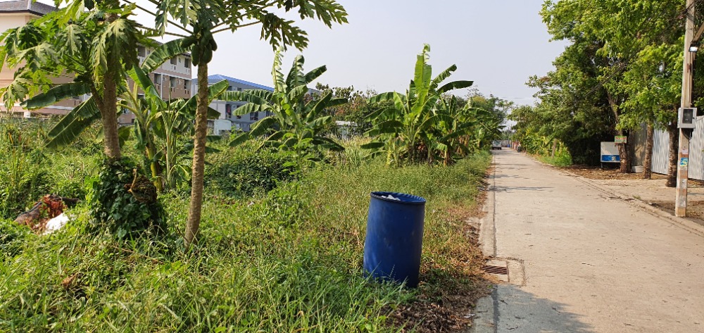 Land for sale on On Nut Road and next to Soi On Nut 67/3. – รูปที่ 3