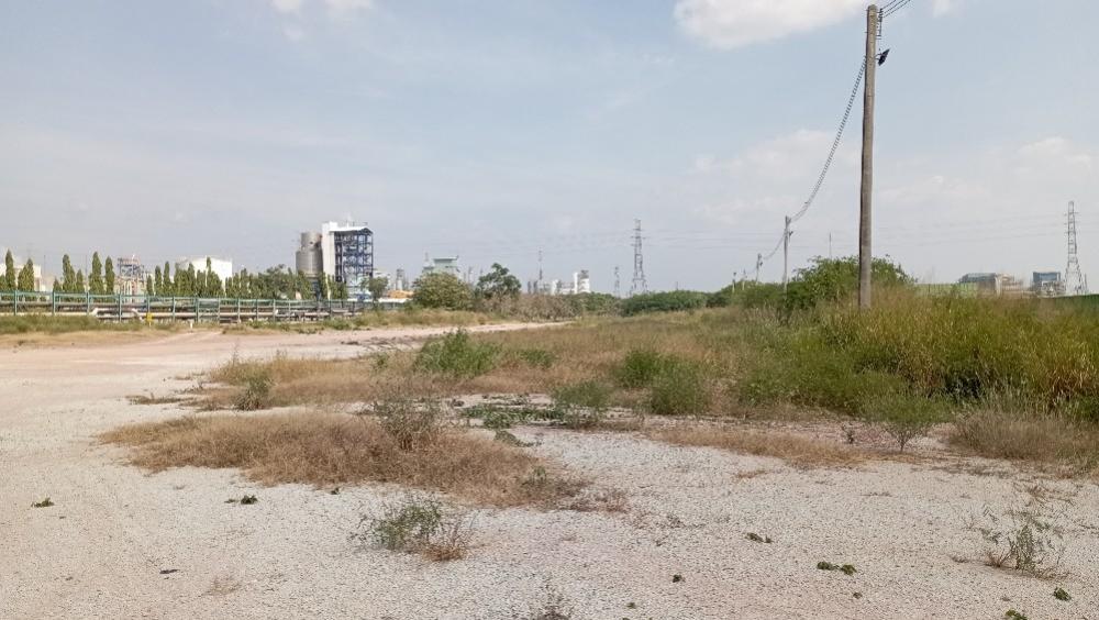 Land for sale and rent in Map Ta Phut Industrial Estate – รูปที่ 4