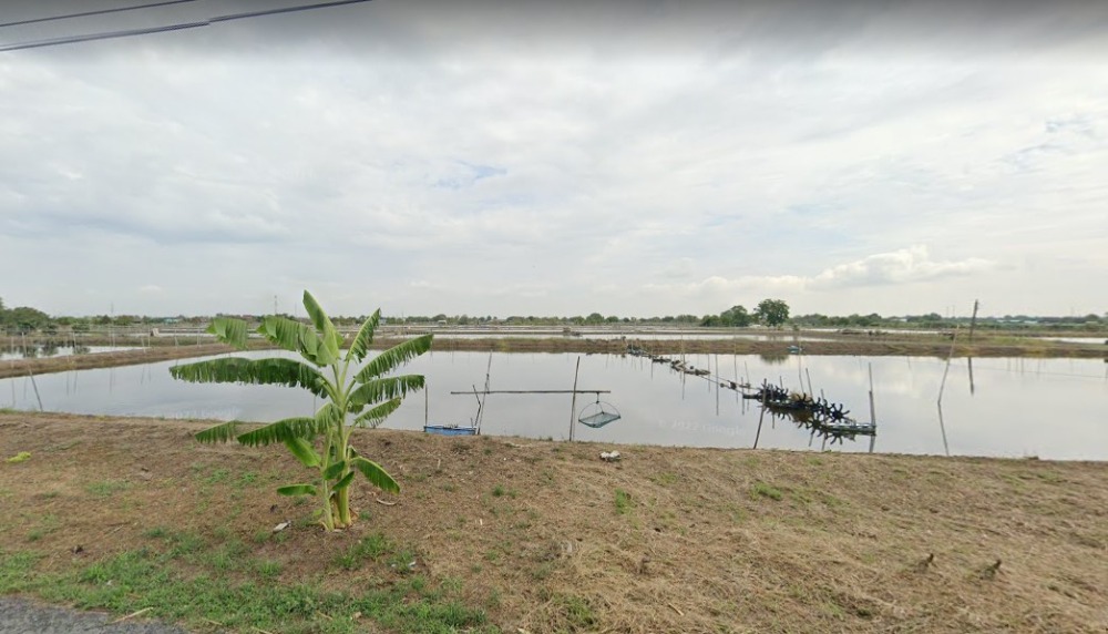 ขาย ที่ดิน 33 ไร่ ต. บางเกลือ อ.บางปะกง ฉะเชิงเทรา แปลงมุม ติดถนน 2 ด้าน ใกล้ ถ.บางนา-ตราด และมอเตอร์เวย์ ขาย ที่ดิน 33 ไร่ ต. บางเกลือ อ.บางปะกง ฉะเชิงเทรา แปลงมุม ติดถนน 2 ด้าน ใกล้ ถ.บางนา-ตราด และมอเตอร์เวย์