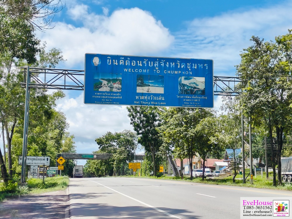 ขายที่ดิน ชุมพร ติดถนนเพชรเกษม ขาเข้าเมืองชุมพร 25 ไร่ หน้ากว้าง 145 เมตร ที่สวย ใกล้สี่แยกปฐมพร – รูปที่ 4