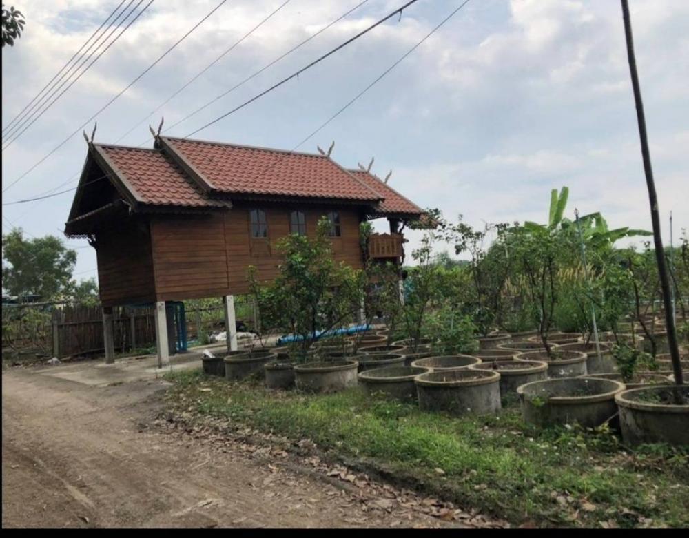 ขายด่วนบ้านและที่ดิน2ไร่ เหมาะวัยเกษียณ – รูปที่ 2