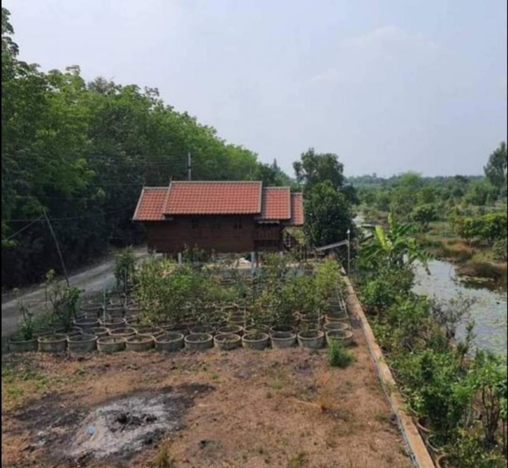 ขายด่วนบ้านและที่ดิน2ไร่ เหมาะวัยเกษียณ – รูปที่ 3