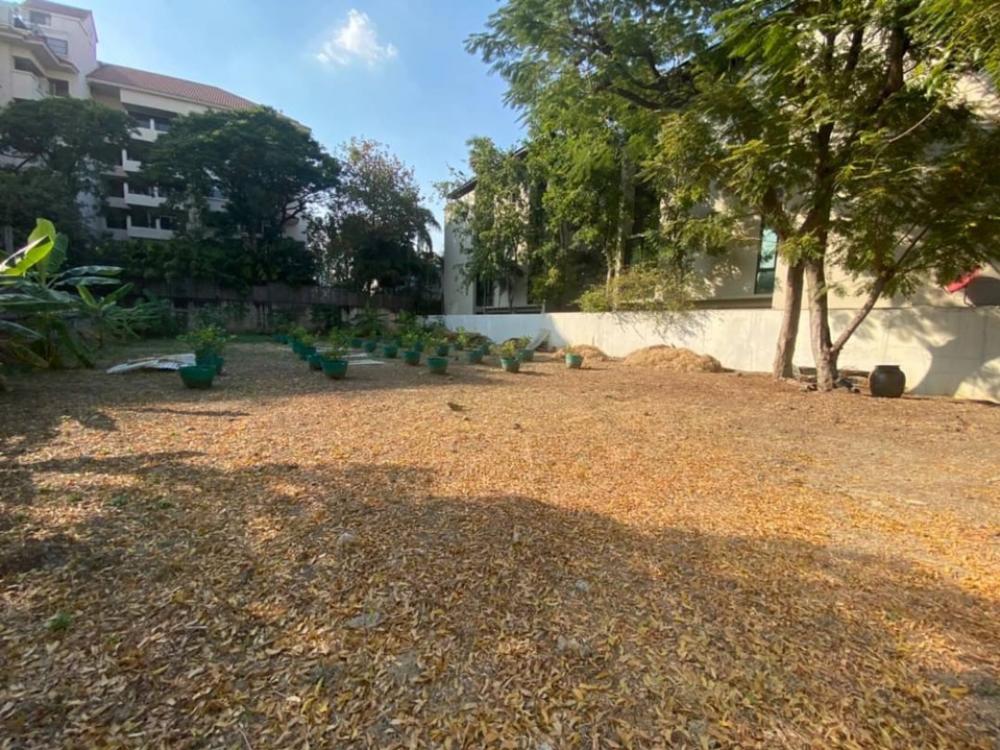 Land for rent 2 jobs, Soi Ekkamai - Sukhumvit 63, suitable: restaurant, cafe, bar and karaoke, Japanese restaurant, Thai restaurant, northeastern restaurant, seafood restaurant Land for rent 2 jobs, Soi Ekkamai - Sukhumvit 63, suitable: restaurant, cafe, bar and karaoke, Japanese restaurant, Thai restaurant, northeastern restaurant, seafood restaurant