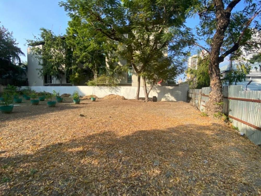 2 land for rent, Soi Ekkamai - Sukhumvit 63, near Big C Ekkamai for Spa Onsen Karaoke