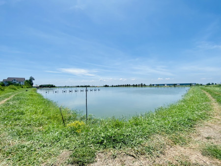 Land for sale, Bang Bo, Rattanakosin 200 pi Road, size 43 rai 1 ngan 18.4 sq.wa. Bangna - Trat km. 29. – รูปที่ 4